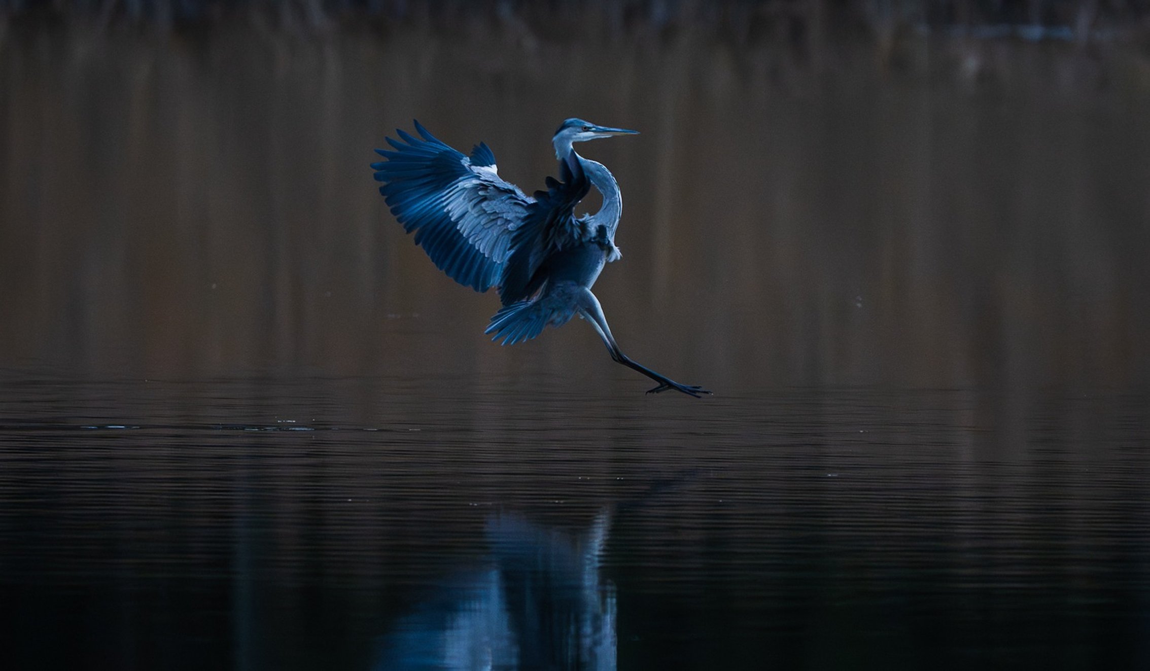 Homepage image by LuchsBadger