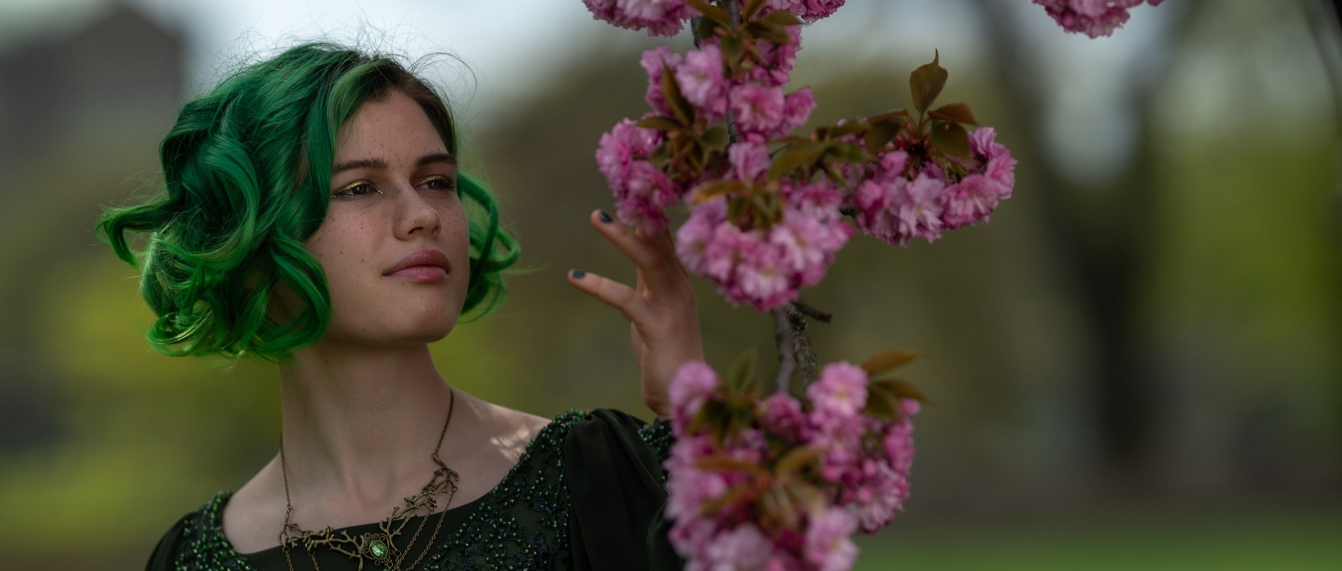 Homepage image by mosch.photo