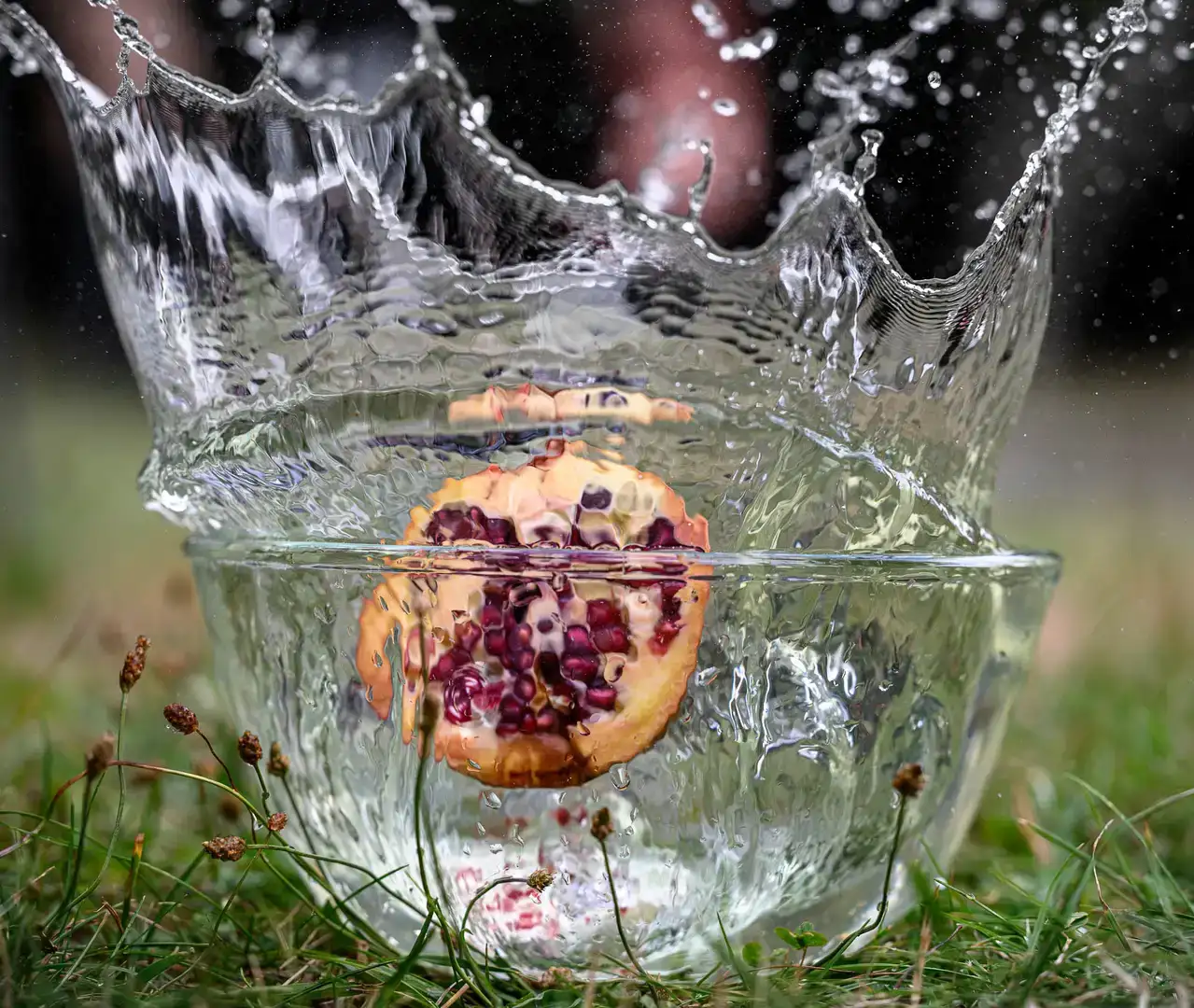 Früchte + Wasser im Großen Garten